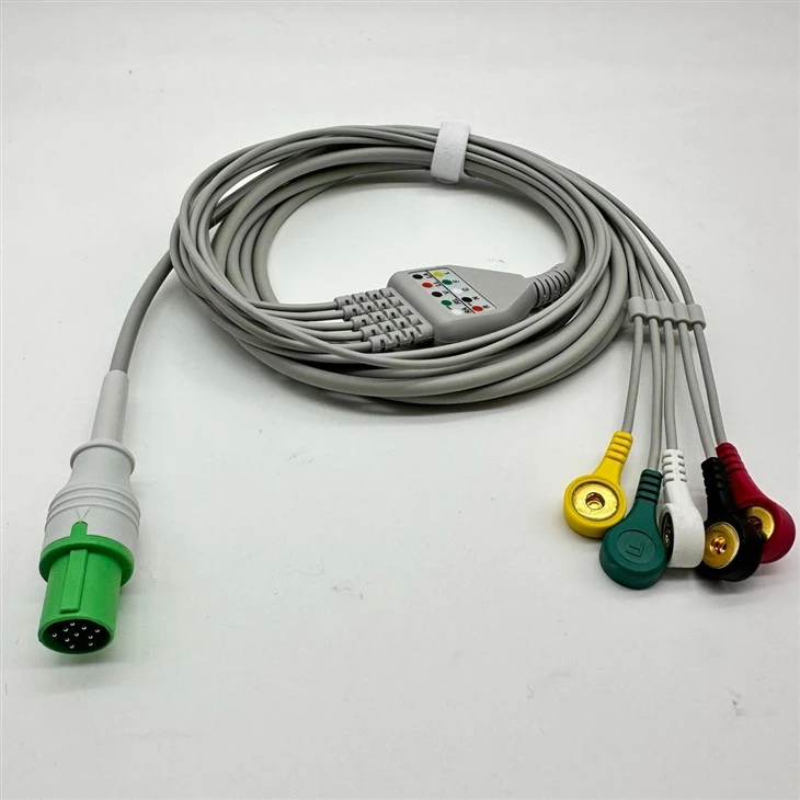 Hellige 10-Pin 5-Lead ECG/EKG Cable best