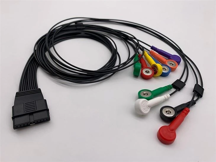 Shiller ECG Cable 10-lead Snap