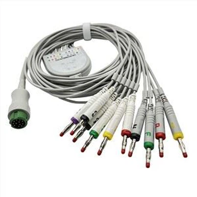 10 Plon Biocare EKG Kab Ak Bannann 4.0
